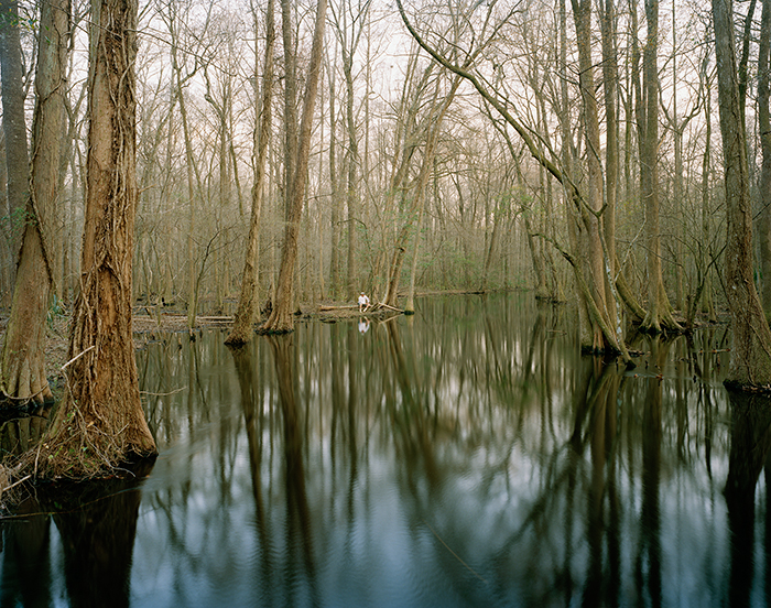 Eliot Dudik | ROAD ENDS IN WATER | One, One Thousand | Southern Photography