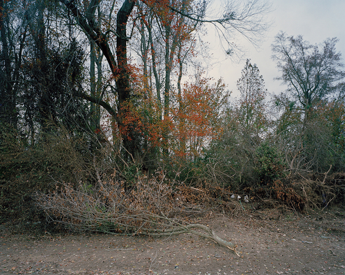 McNair Evans | A Journal of Southern History | One, One Thousand | Southern Photography