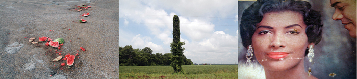 Terri Garland | Delta Creation Theories | One, One Thousand | Southern Photography