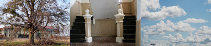 Terri Garland | Delta Creation Theories | One, One Thousand | Southern Photography