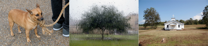 Terri Garland | Delta Creation Theories | One, One Thousand | Southern Photography