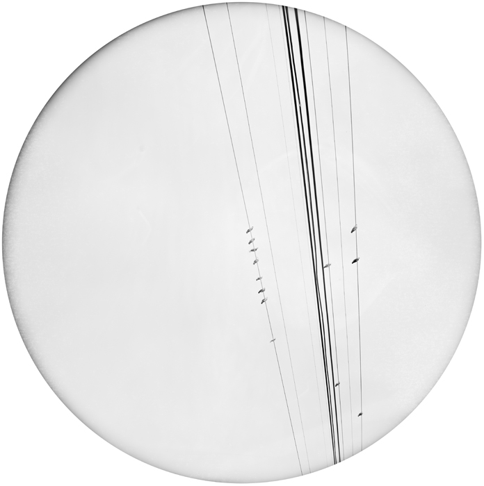 Deborah Luster | Tooth for an Eye | One, One Thousand | Southern Photography