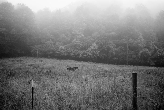 Roger May | Testify | One, One Thousand | Southern Photography