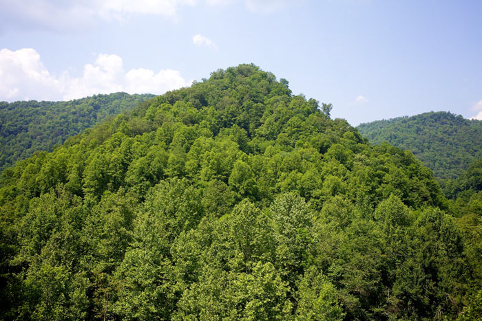 Roger May | Testify | One, One Thousand | Southern Photography