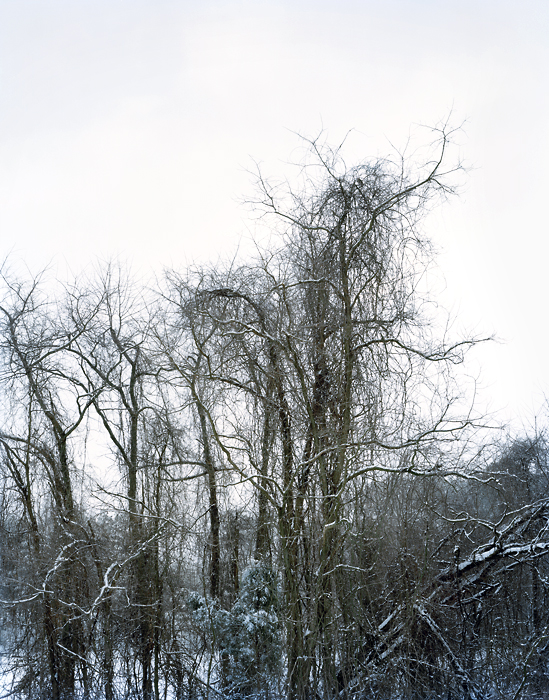 Pamela Pecchio | On Longing, Distance and Heavy Metal | One, One Thousand | Southern Photography