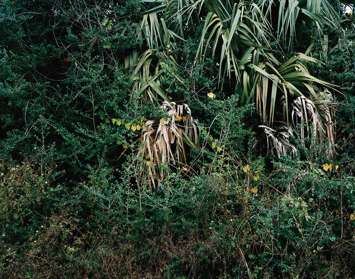 Pamela Pecchio | On Longing, Distance and Heavy Metal | One, One Thousand | Southern Photography