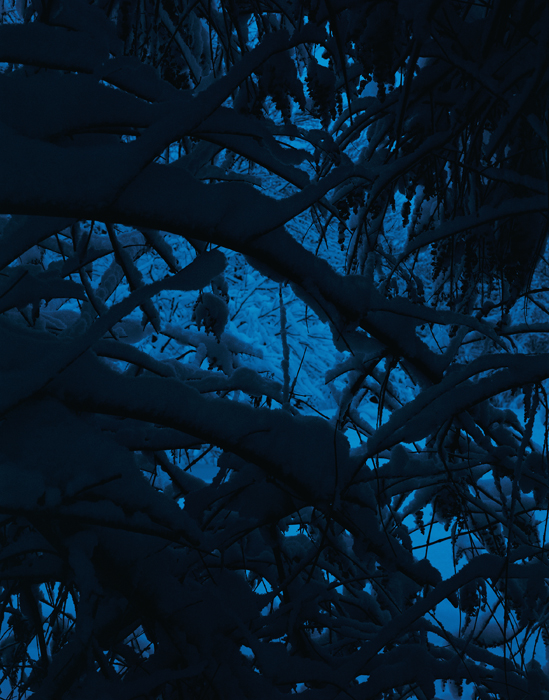 Pamela Pecchio | On Longing, Distance and Heavy Metal | One, One Thousand | Southern Photography