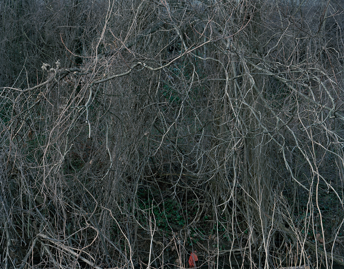 Pamela Pecchio | On Longing, Distance and Heavy Metal | One, One Thousand | Southern Photography