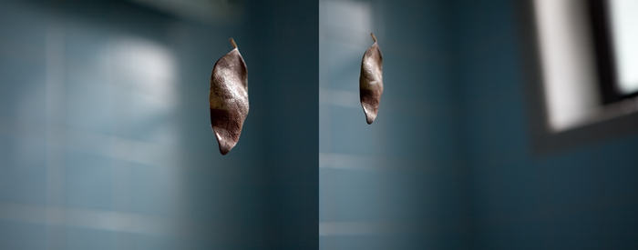 Dawn Roe | No One Was With Her When She Died | One, One Thousand | Southern Photography