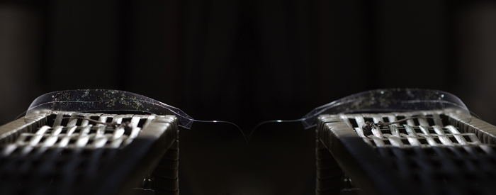 Dawn Roe | No One Was With Her When She Died | One, One Thousand | Southern Photography