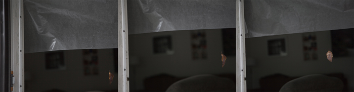 Dawn Roe | No One Was With Her When She Died | One, One Thousand | Southern Photography