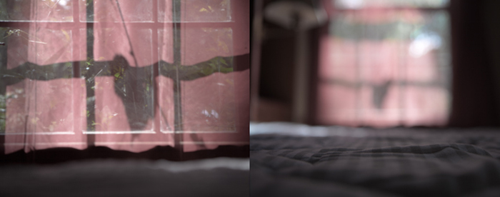 Dawn Roe | No One Was With Her When She Died | One, One Thousand | Southern Photography