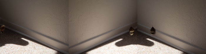 Dawn Roe | No One Was With Her When She Died | One, One Thousand | Southern Photography