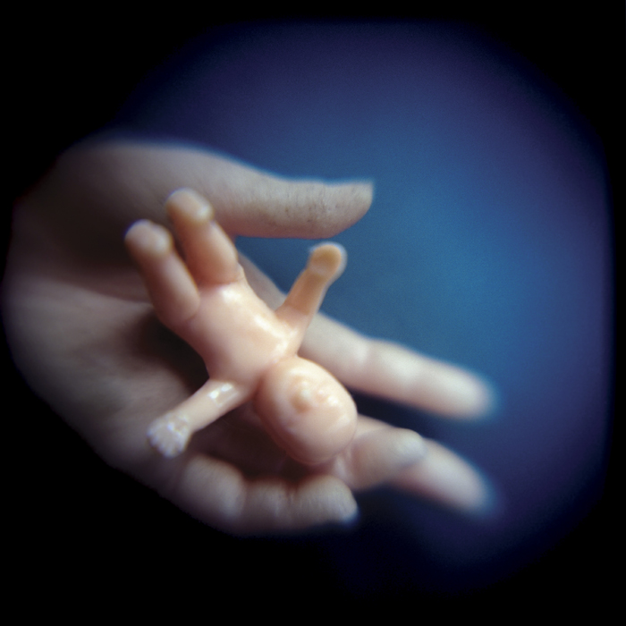 Jennifer Shaw | Hurricane Story | One, One Thousand | Southern Photography