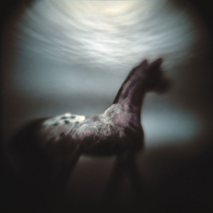 Jennifer Shaw | Hurricane Story | One, One Thousand | Southern Photography