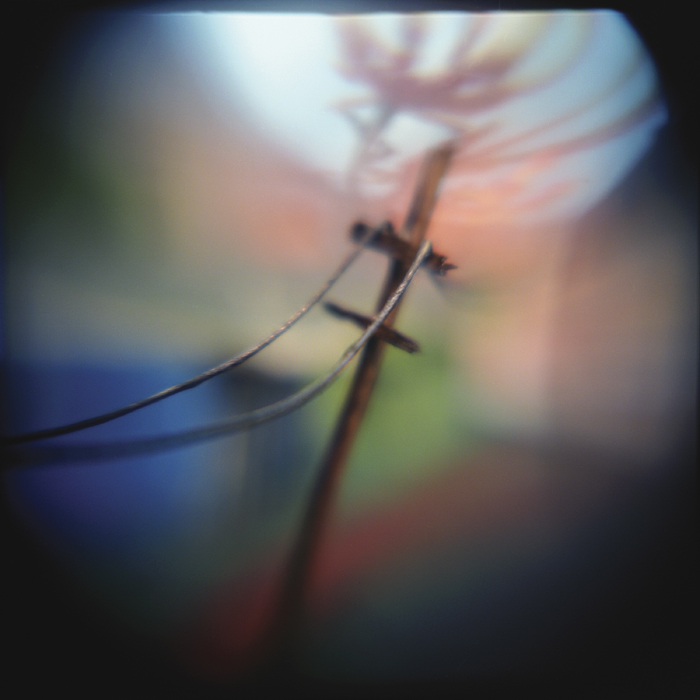 Jennifer Shaw | Hurricane Story | One, One Thousand | Southern Photography