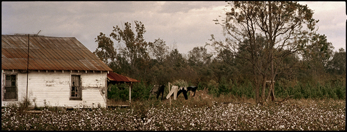 Jerry Siegel | Black Belt Color | One, One Thousand | Southern Photography