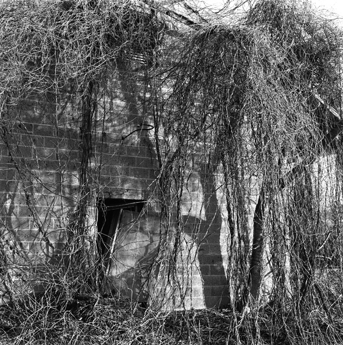 David Simonton | Of This Place | One, One Thousand | Southern Photography