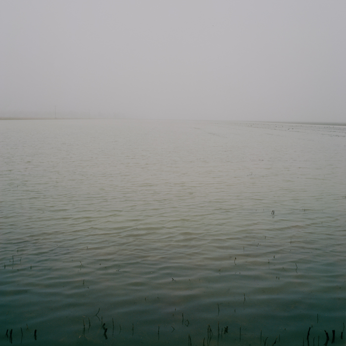 Brooke White | Delta Constant | One, One Thousand | Southern Photography