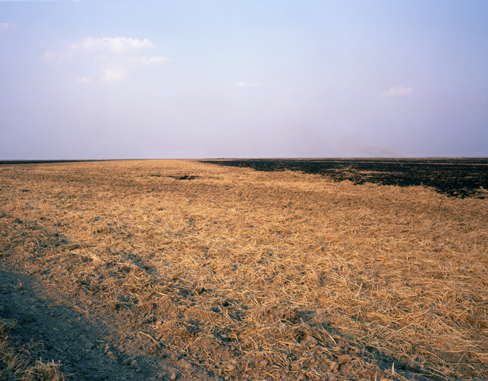 Brooke White | Delta Constant | One, One Thousand | Southern Photography