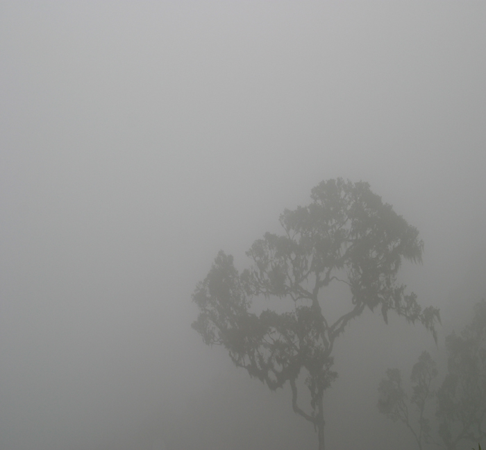 Brooke White | Delta Constant | One, One Thousand | Southern Photography