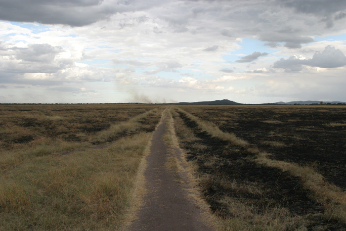 Brooke White | Delta Constant | One, One Thousand | Southern Photography