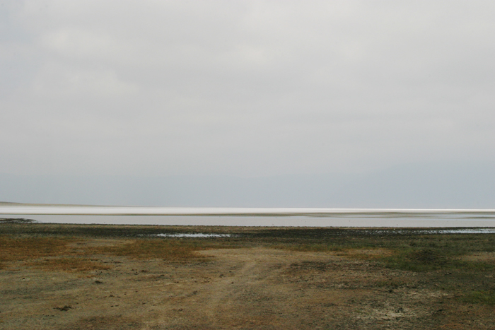 Brooke White | Delta Constant | One, One Thousand | Southern Photography